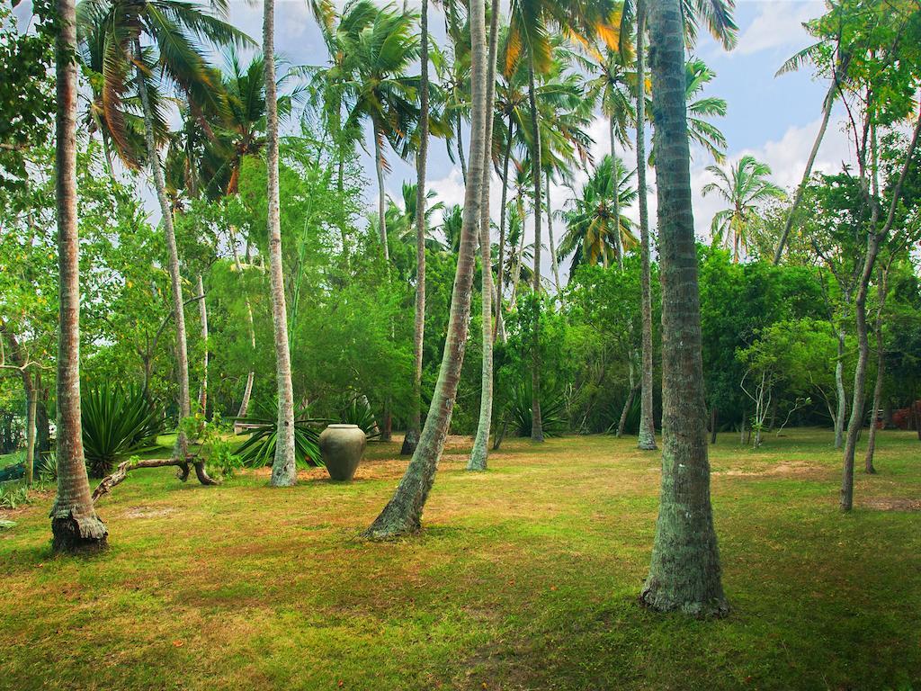 Lagoon House Rekawa Tangalle Exterior foto